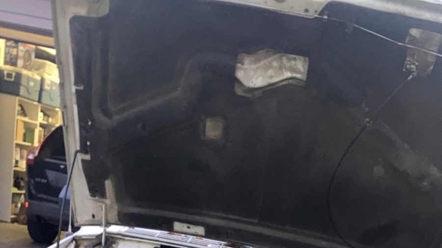 The Beastly Goon photo 1