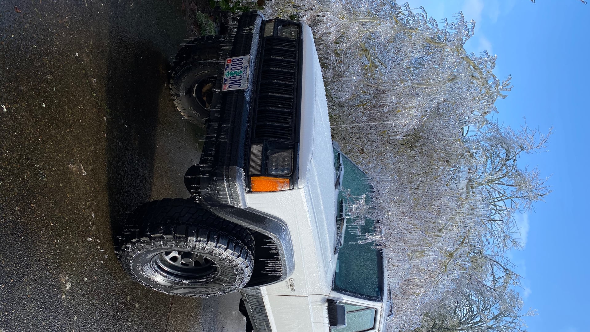 The Beastly Goon photo 3