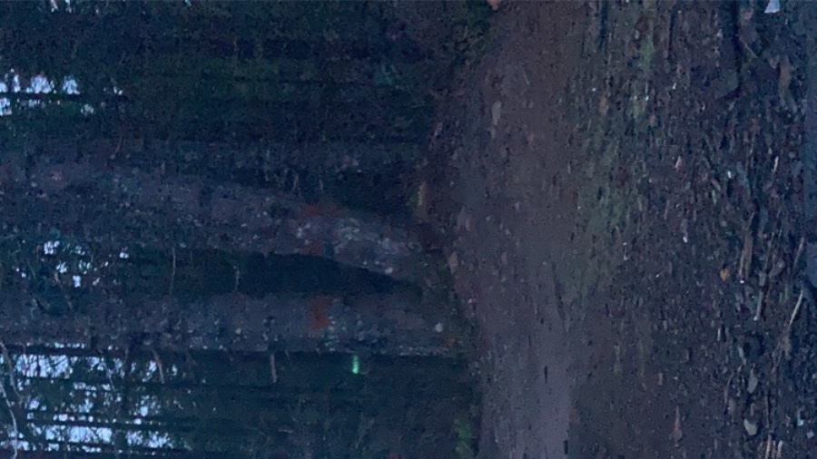 The Beastly Goon photo 4