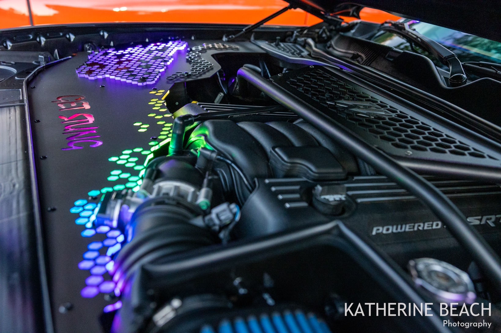 Intimidator Bee photo 3