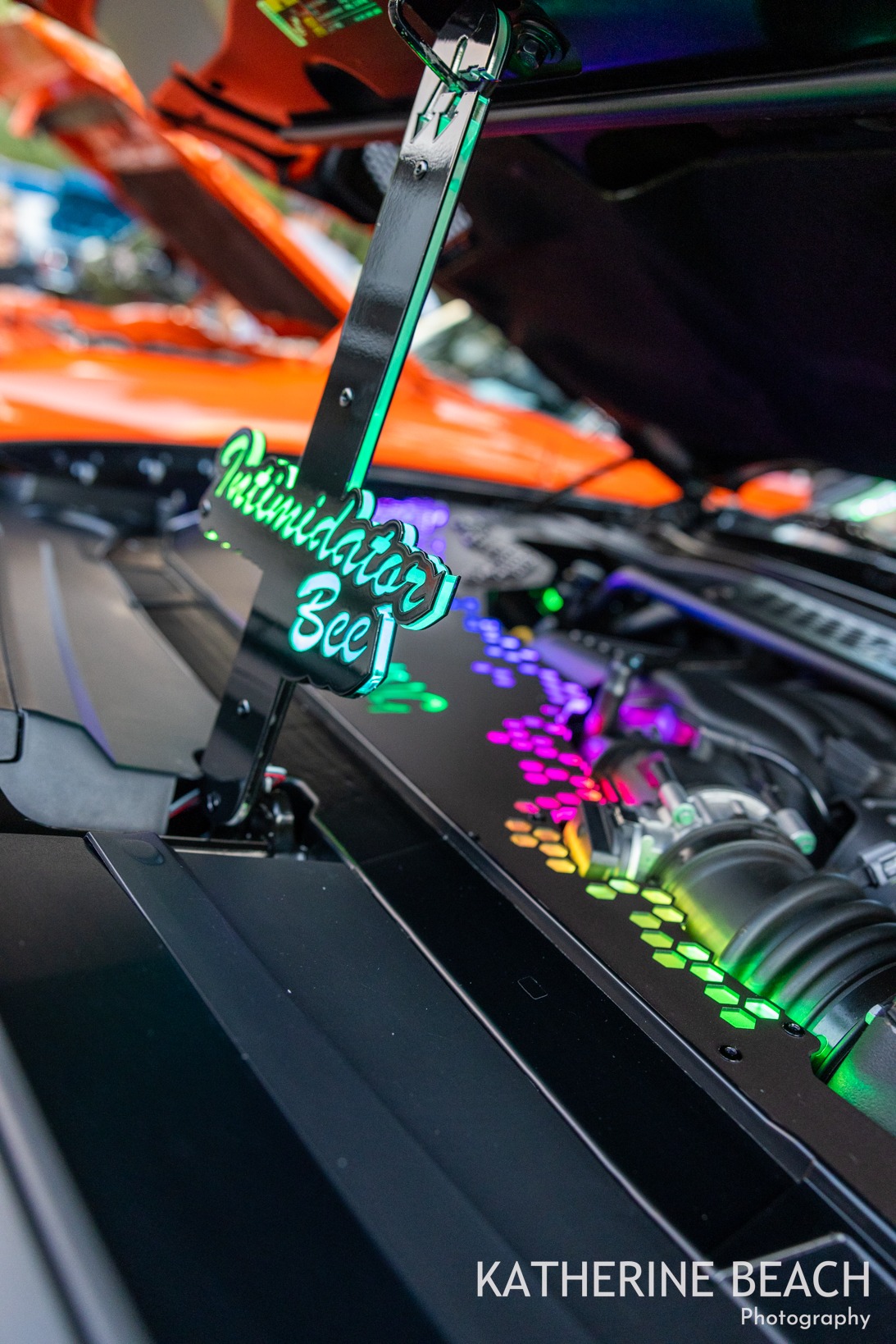 Intimidator Bee photo 2