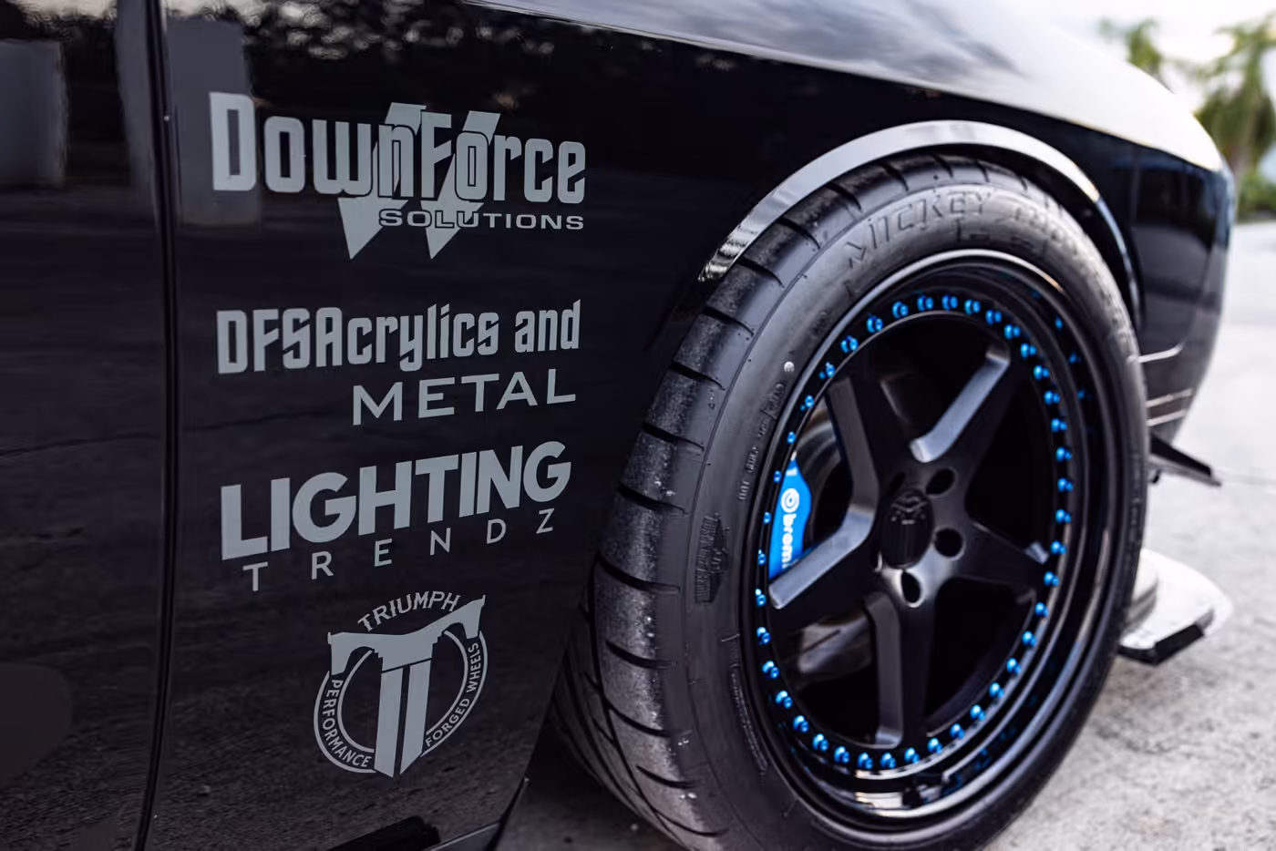 Intimidator Bee photo 8