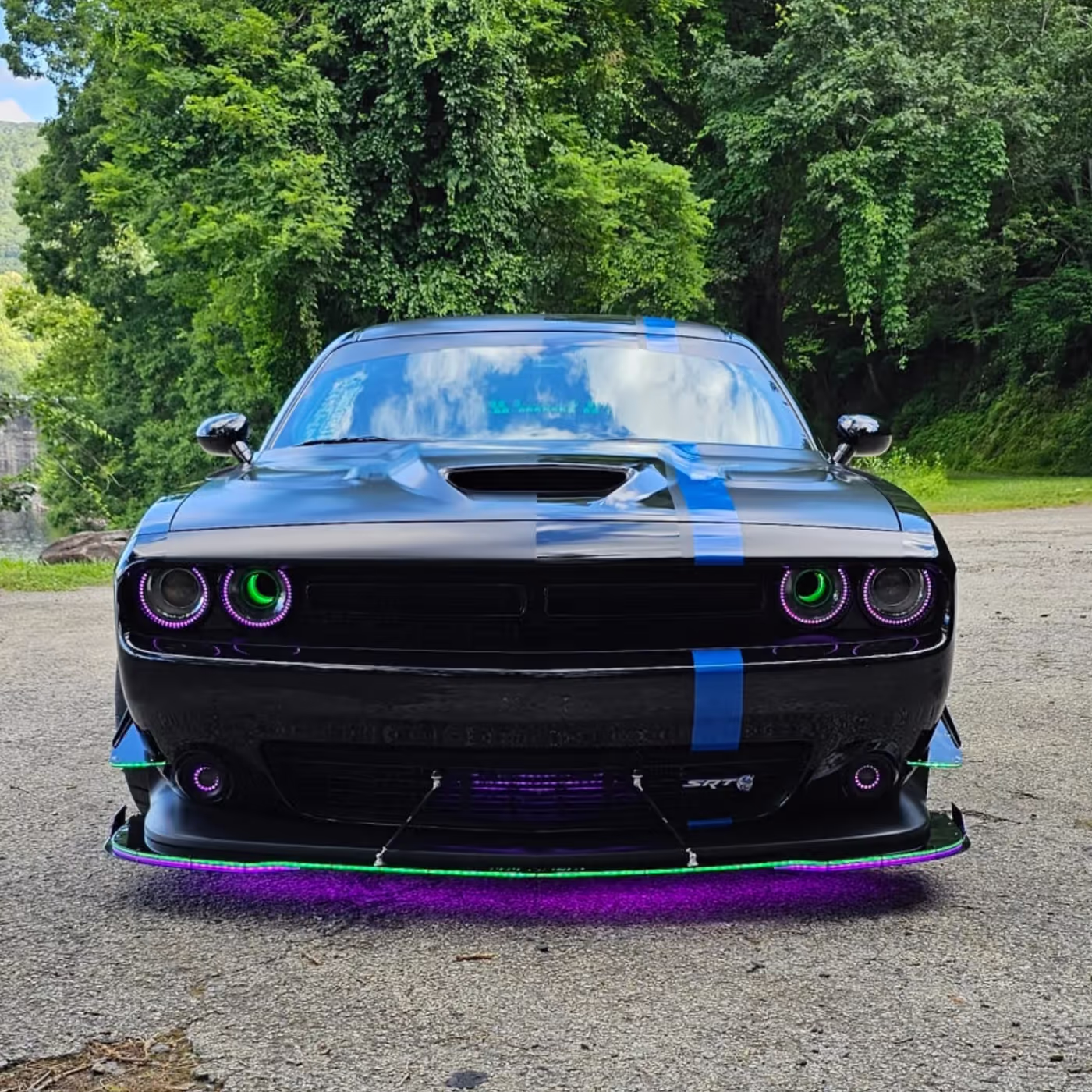 Intimidator Bee photo 11