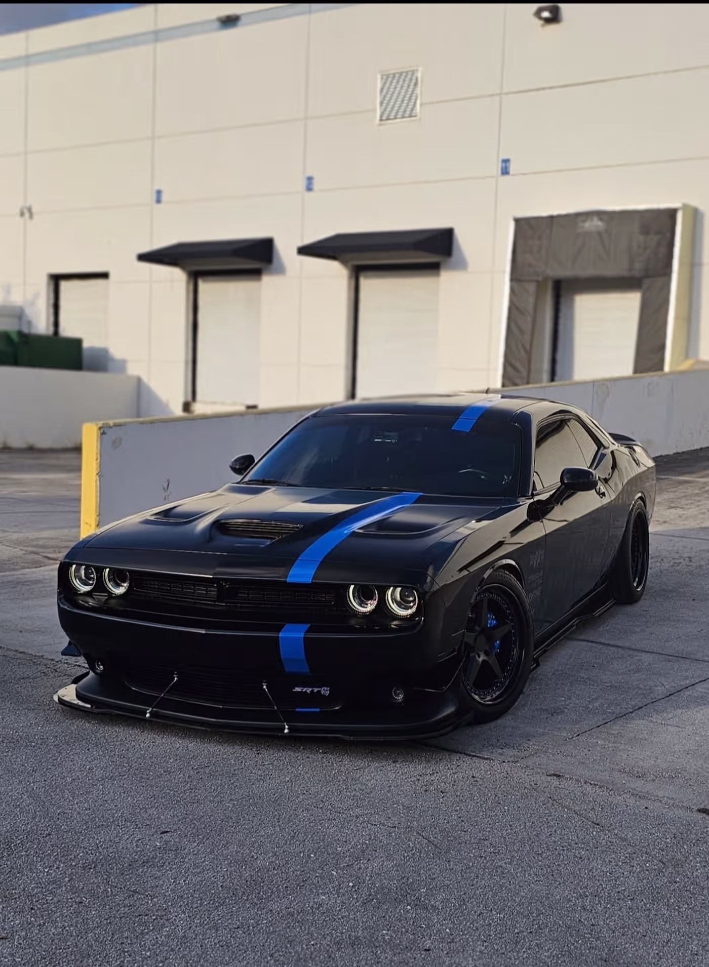 Intimidator Bee photo 10