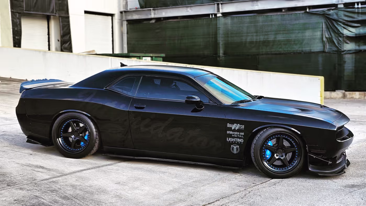 Intimidator Bee photo 13