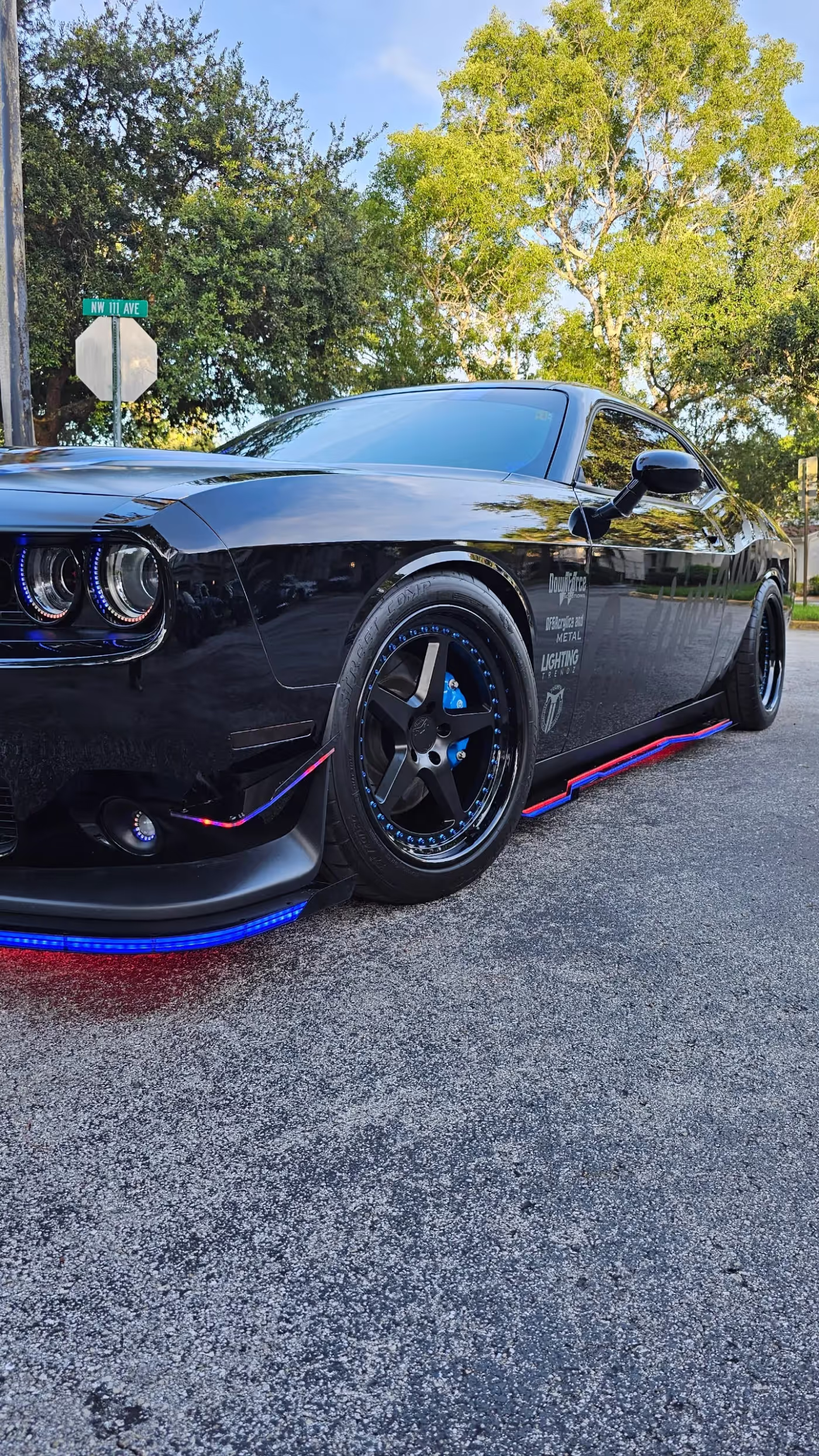 Intimidator Bee photo 12