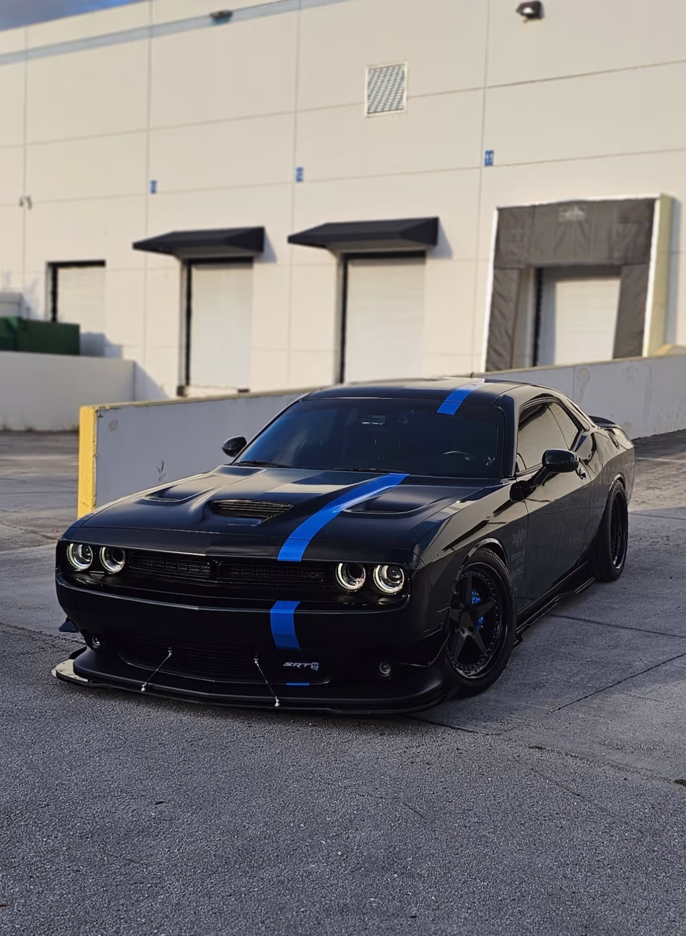 Intimidator Bee photo 14