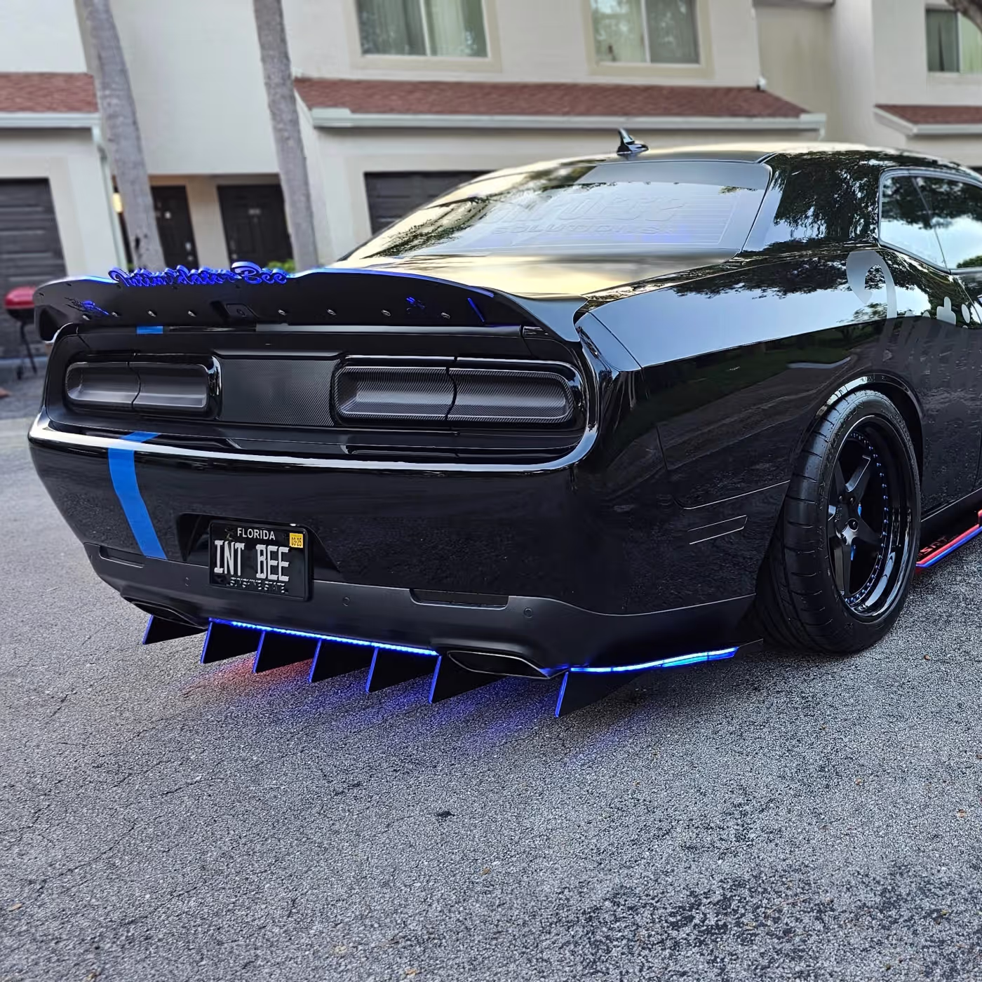 Intimidator Bee photo 15