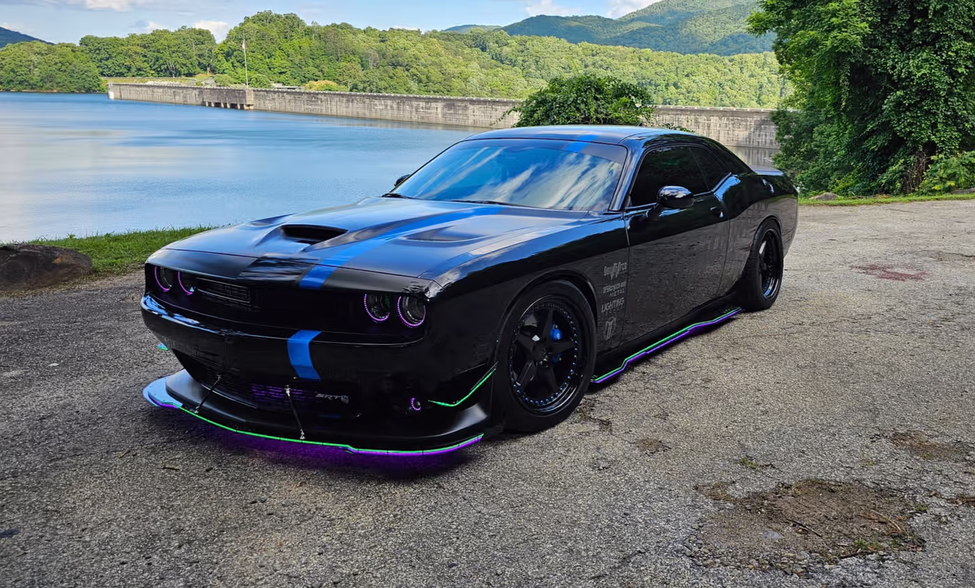 Intimidator Bee photo 16