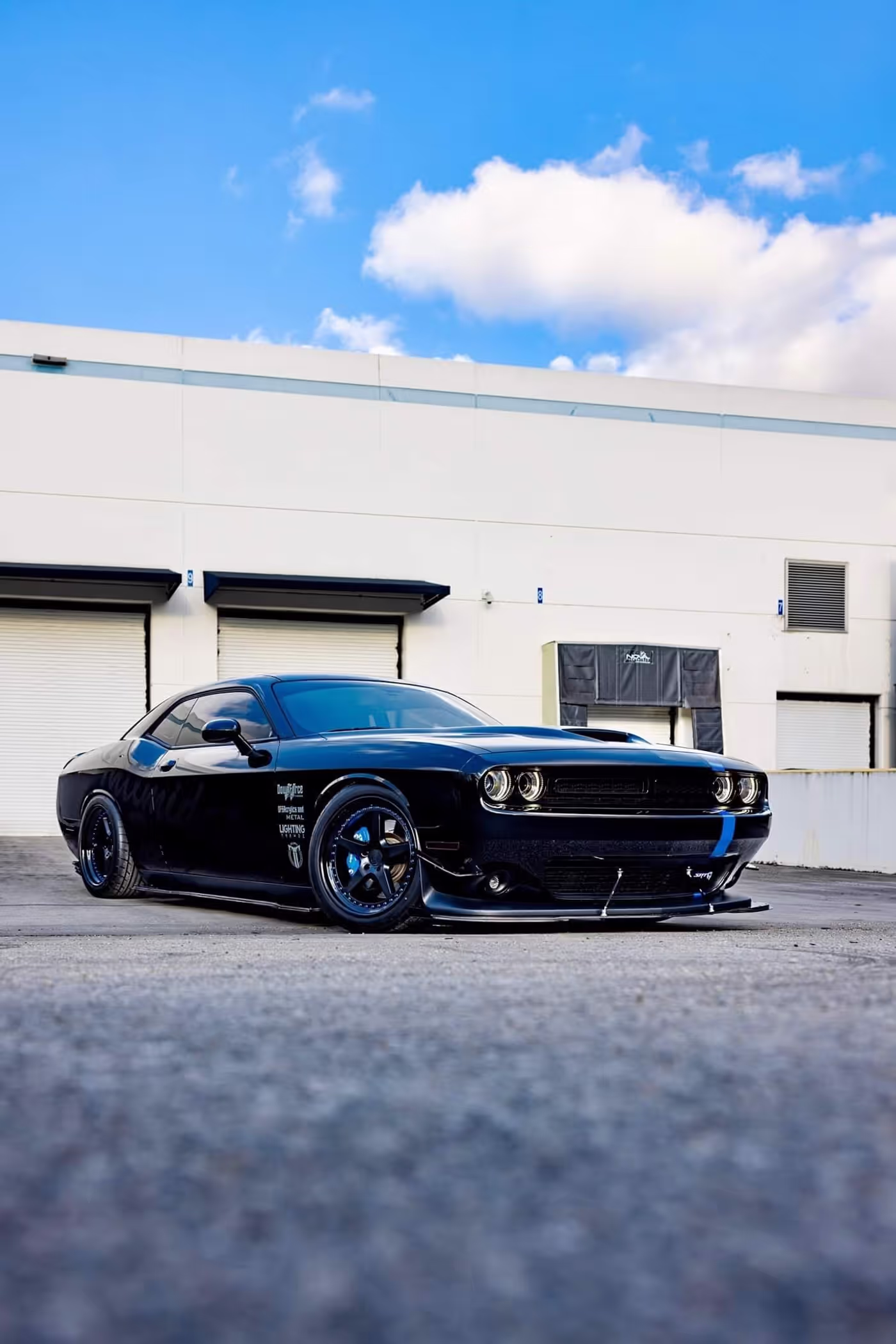 Intimidator Bee photo 17