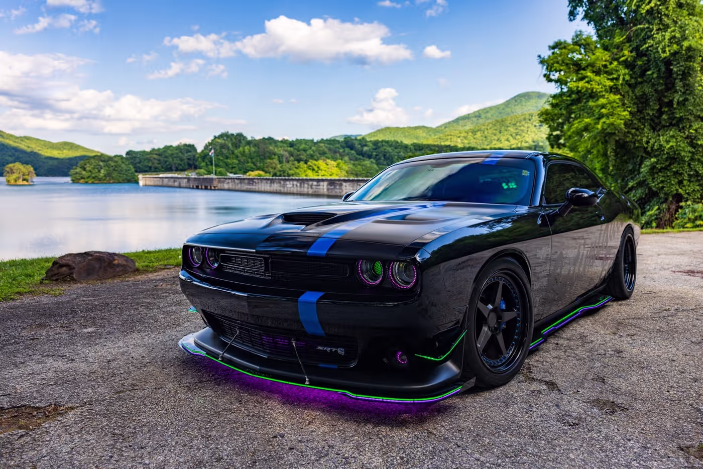 Intimidator Bee photo 19