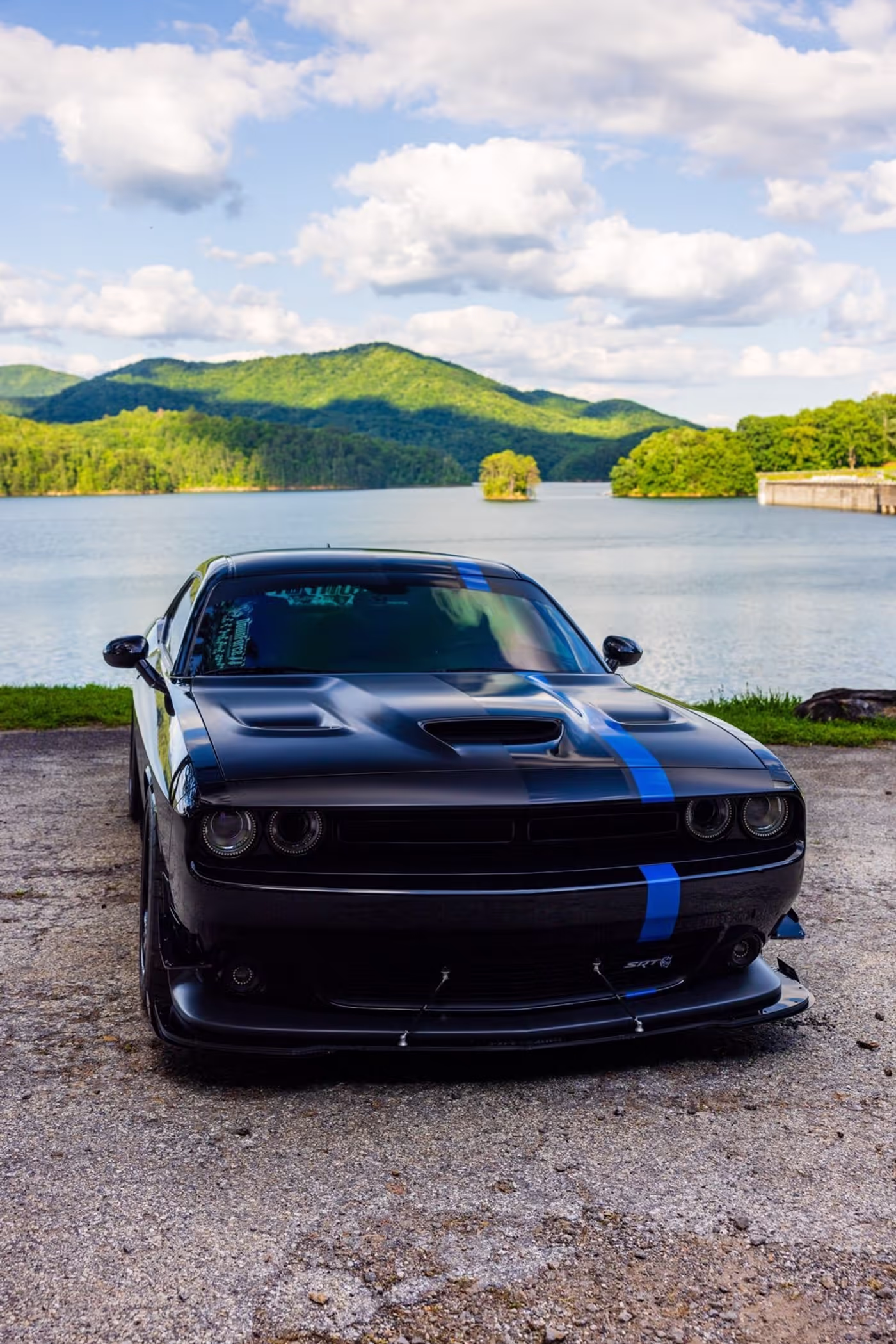 Intimidator Bee photo 20