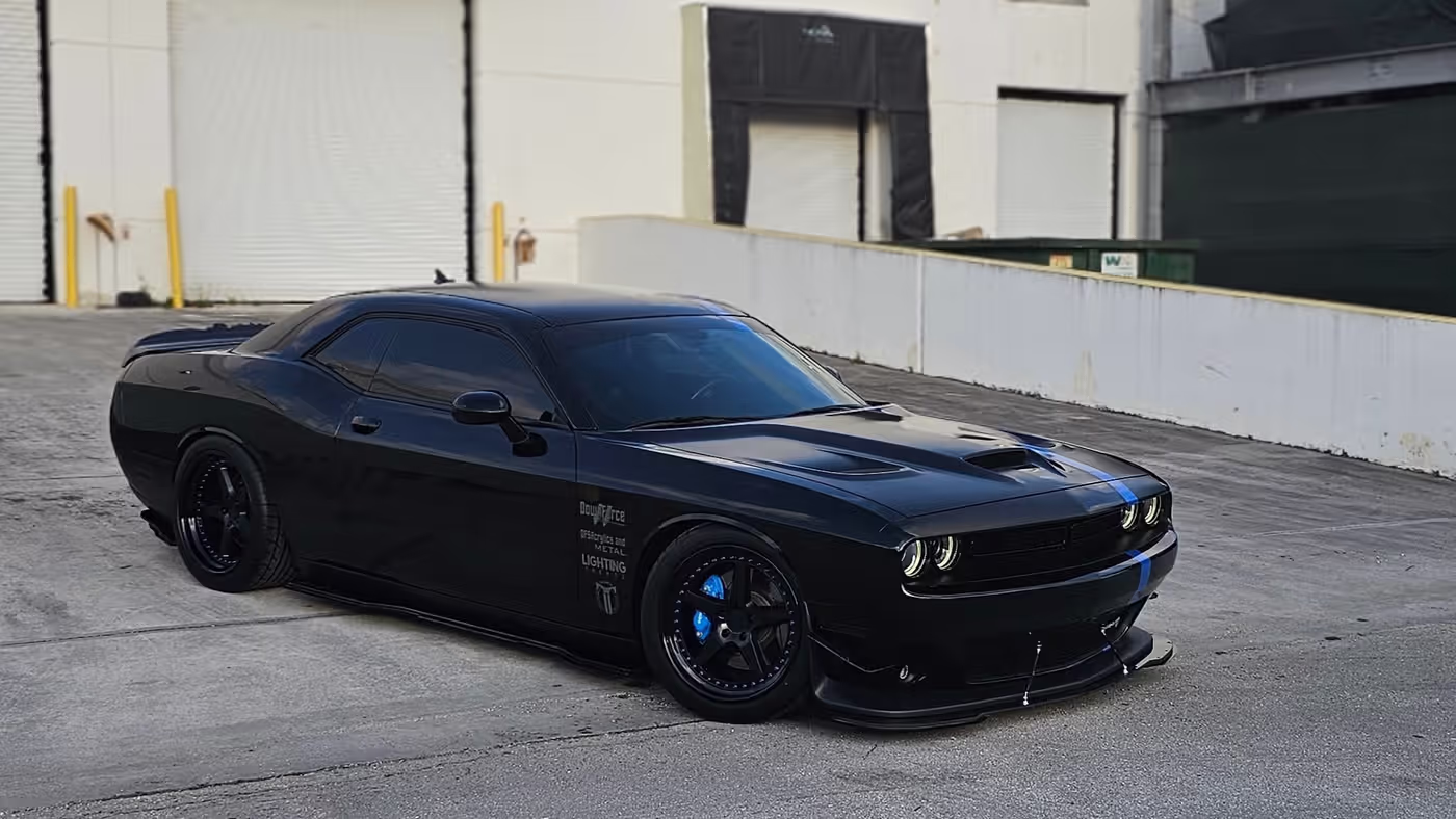 Intimidator Bee photo 21