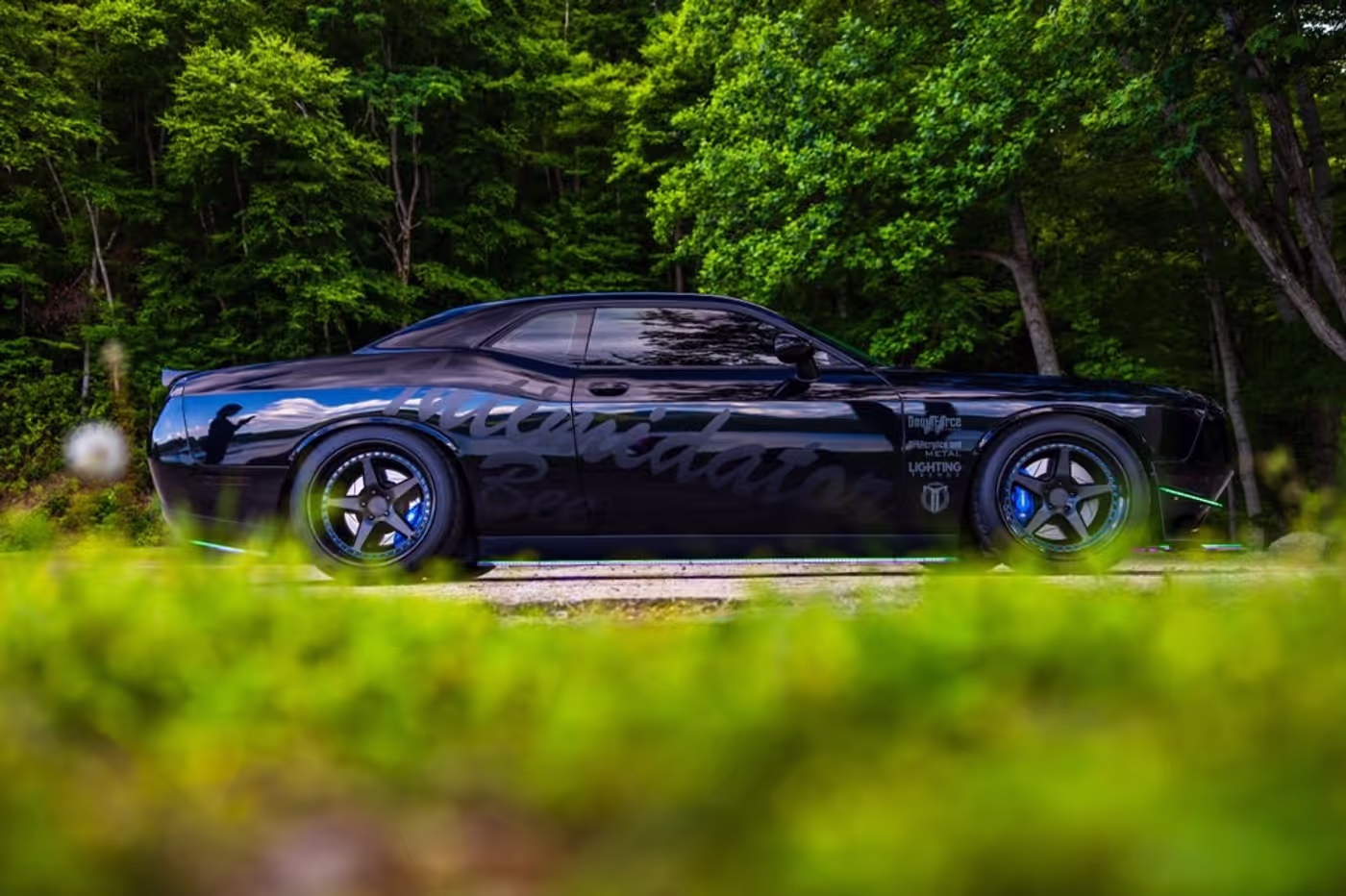 Intimidator Bee photo 25