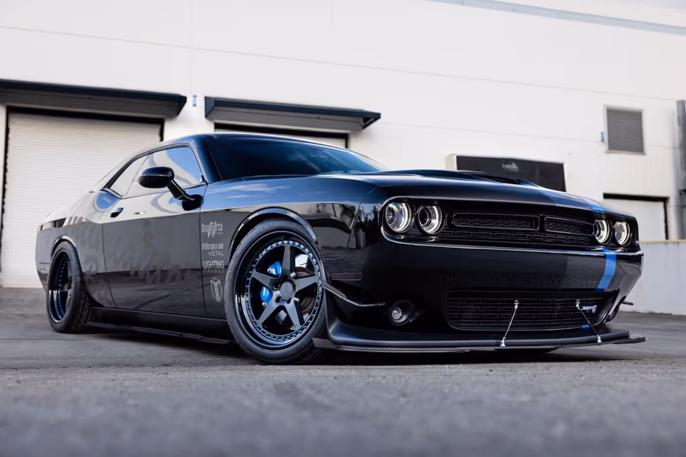 Intimidator Bee photo 30