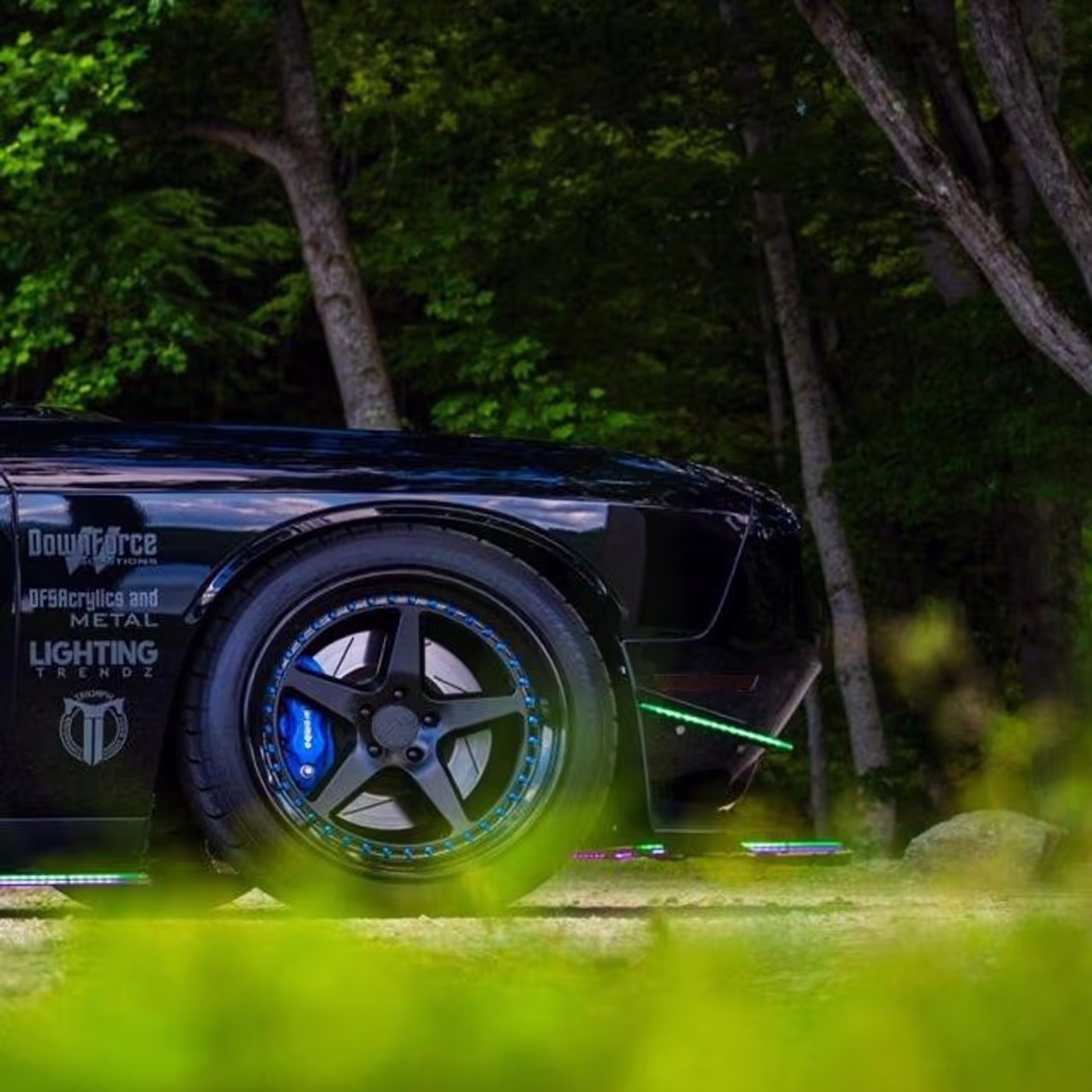 Intimidator Bee photo 31