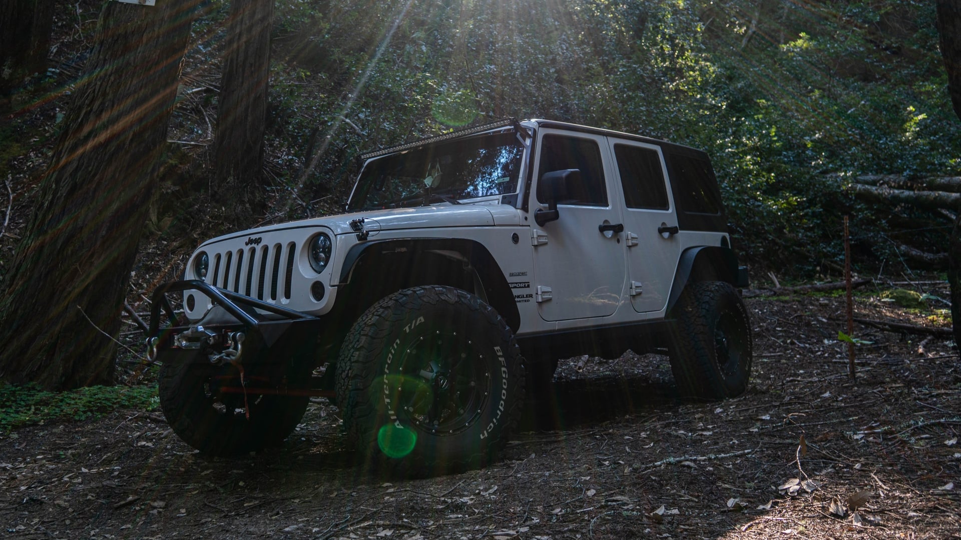 Mountain Runner photo 26