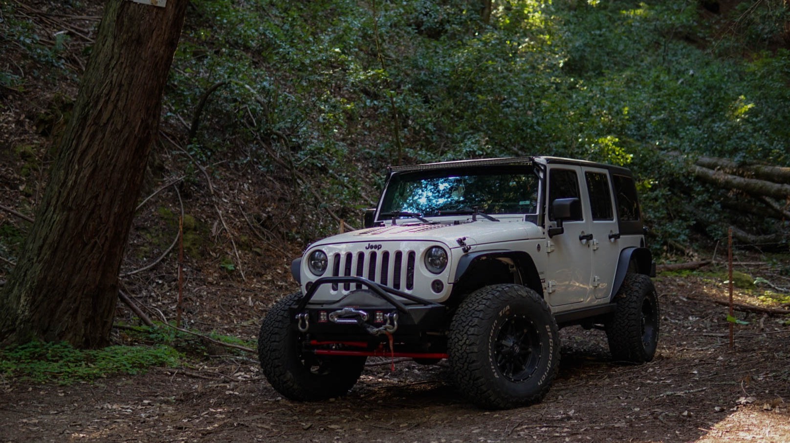 Mountain Runner photo 25