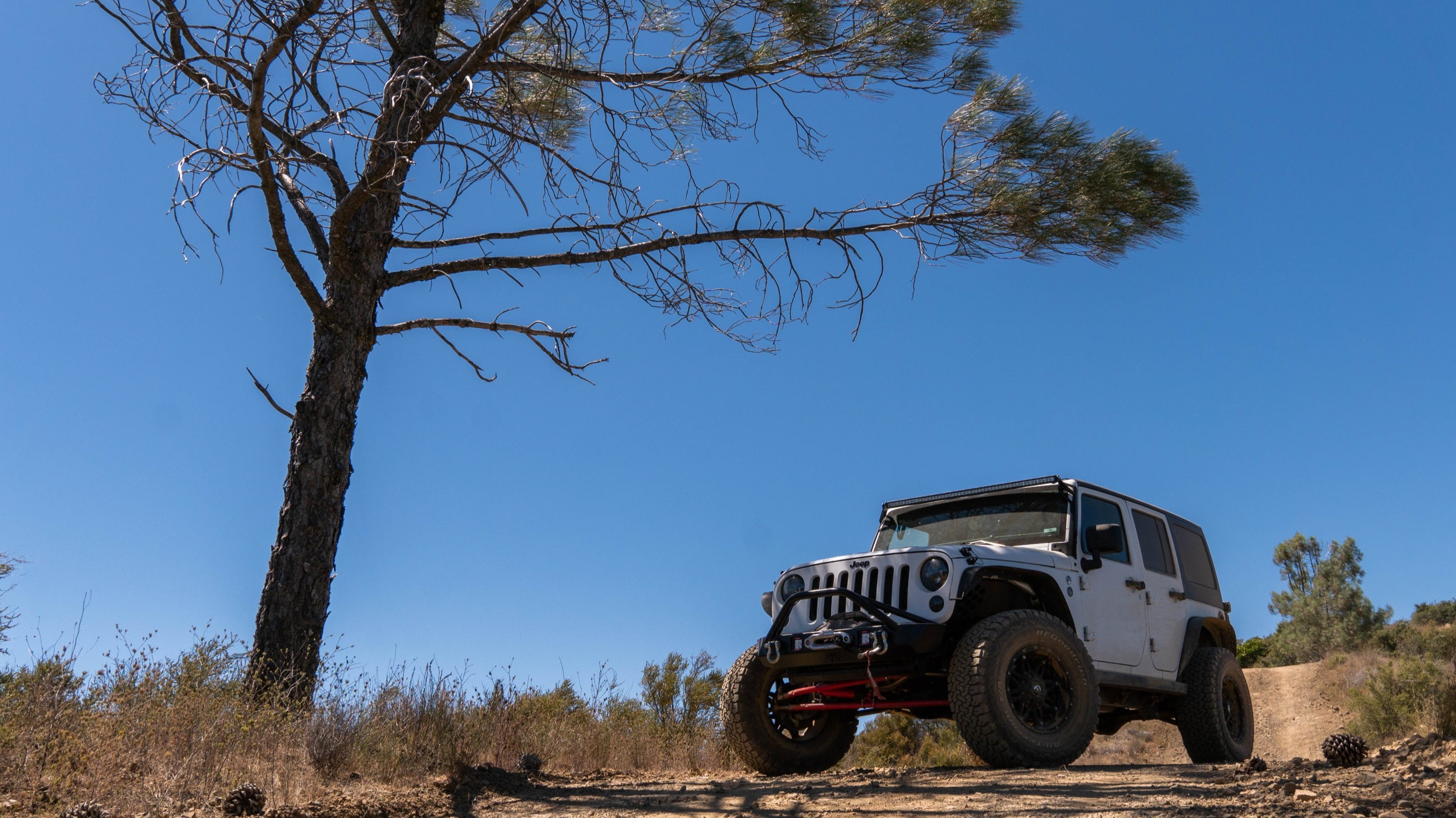 Mountain Runner photo 23