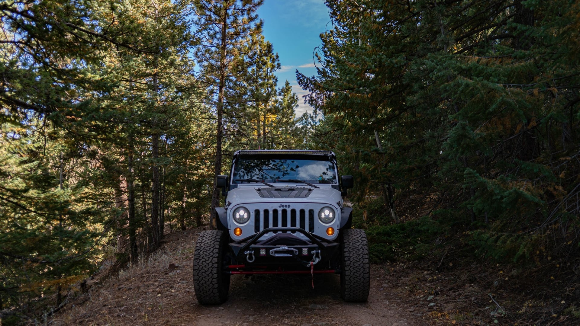 Mountain Runner photo 1