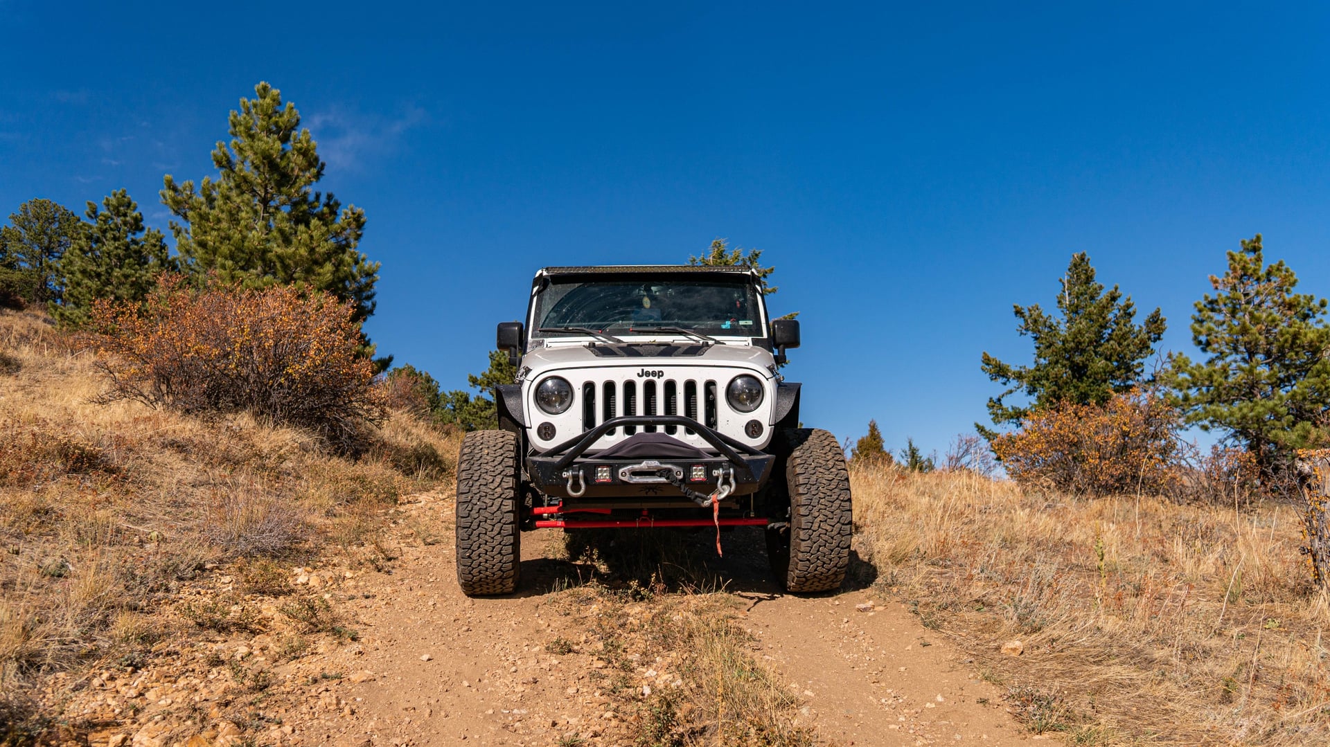 Mountain Runner photo 17