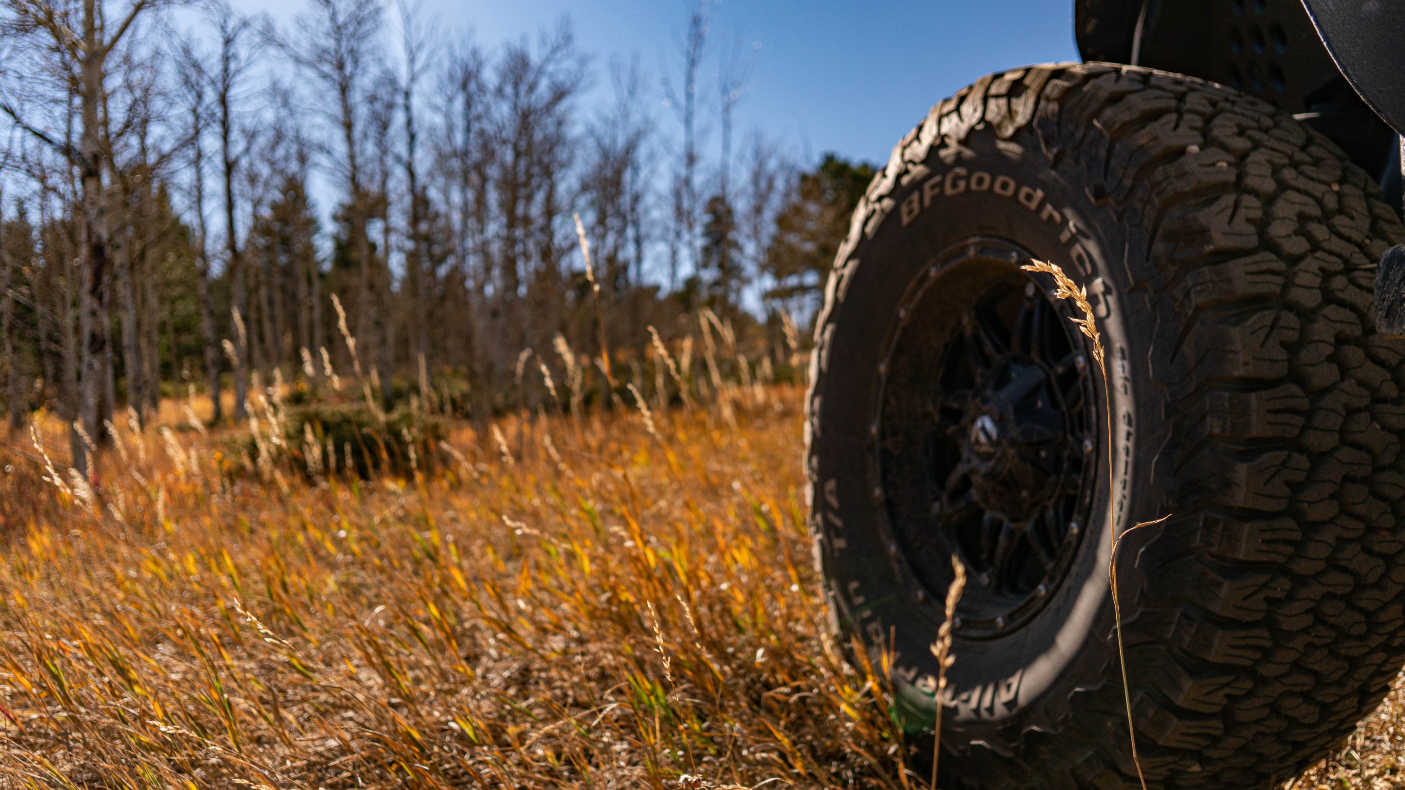 Mountain Runner photo 13