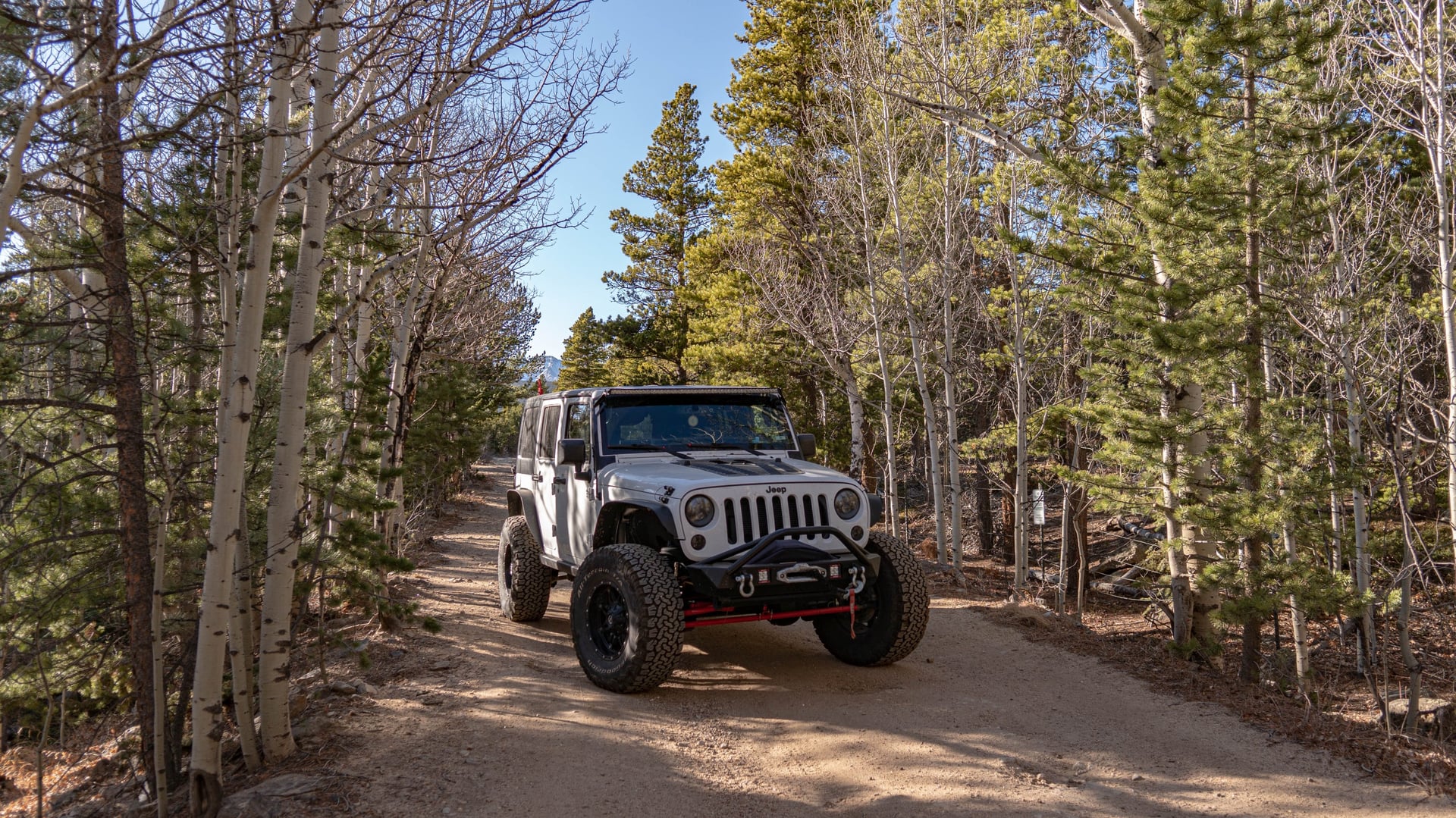 Mountain Runner photo 15