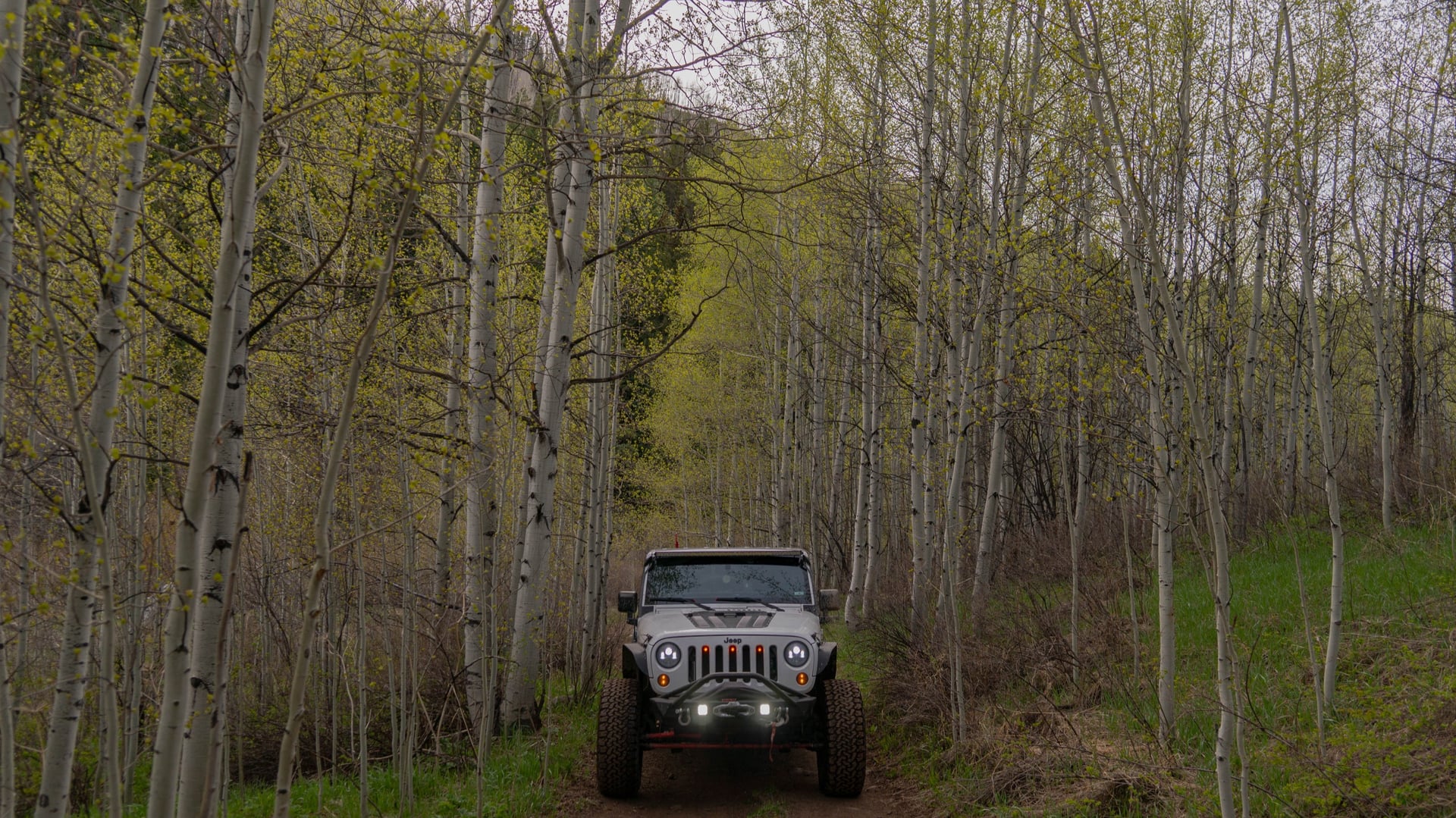 Mountain Runner photo 4