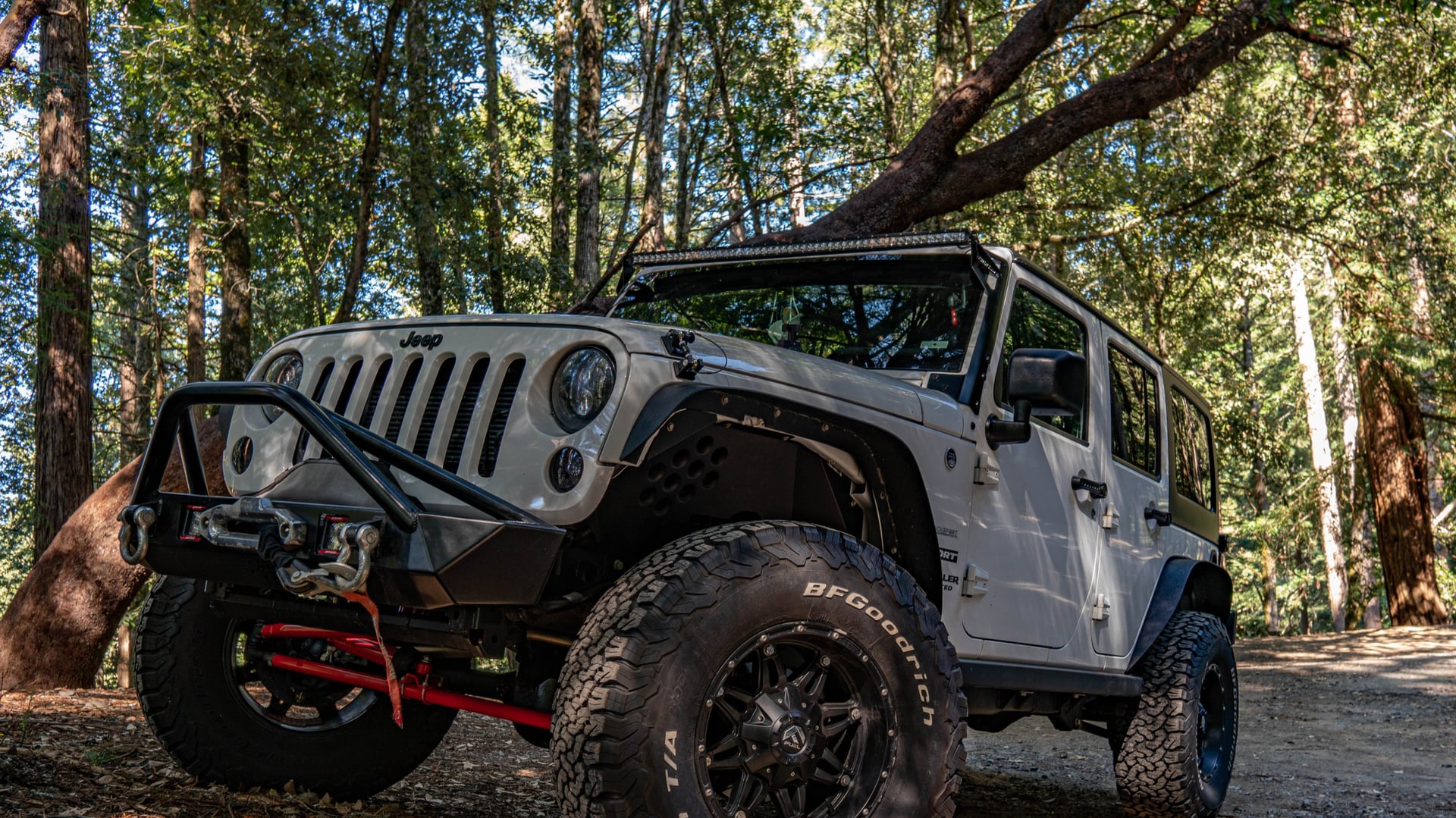 Mountain Runner photo 27