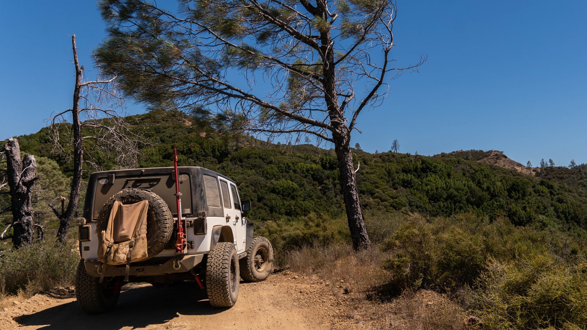 Mountain Runner photo 22