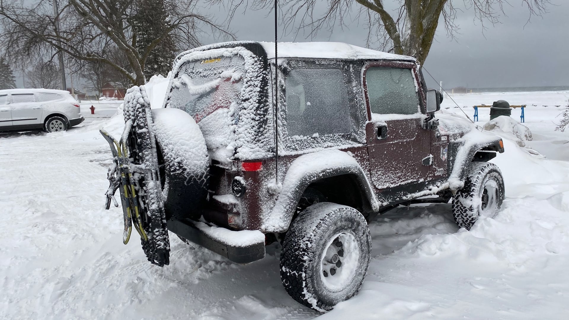 Brandy The Jeep photo 28