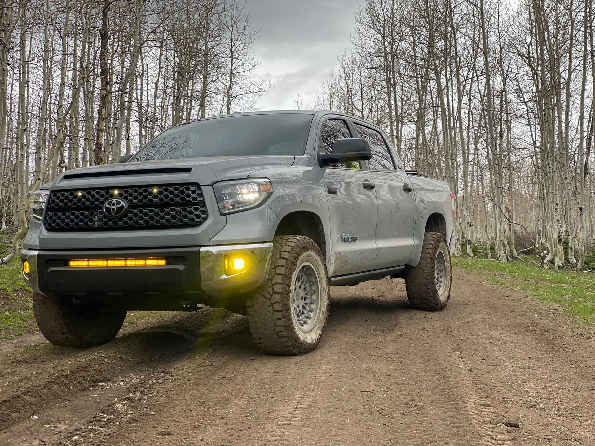 801cement, a 2020 Toyota Tundra, photo 15 of 30