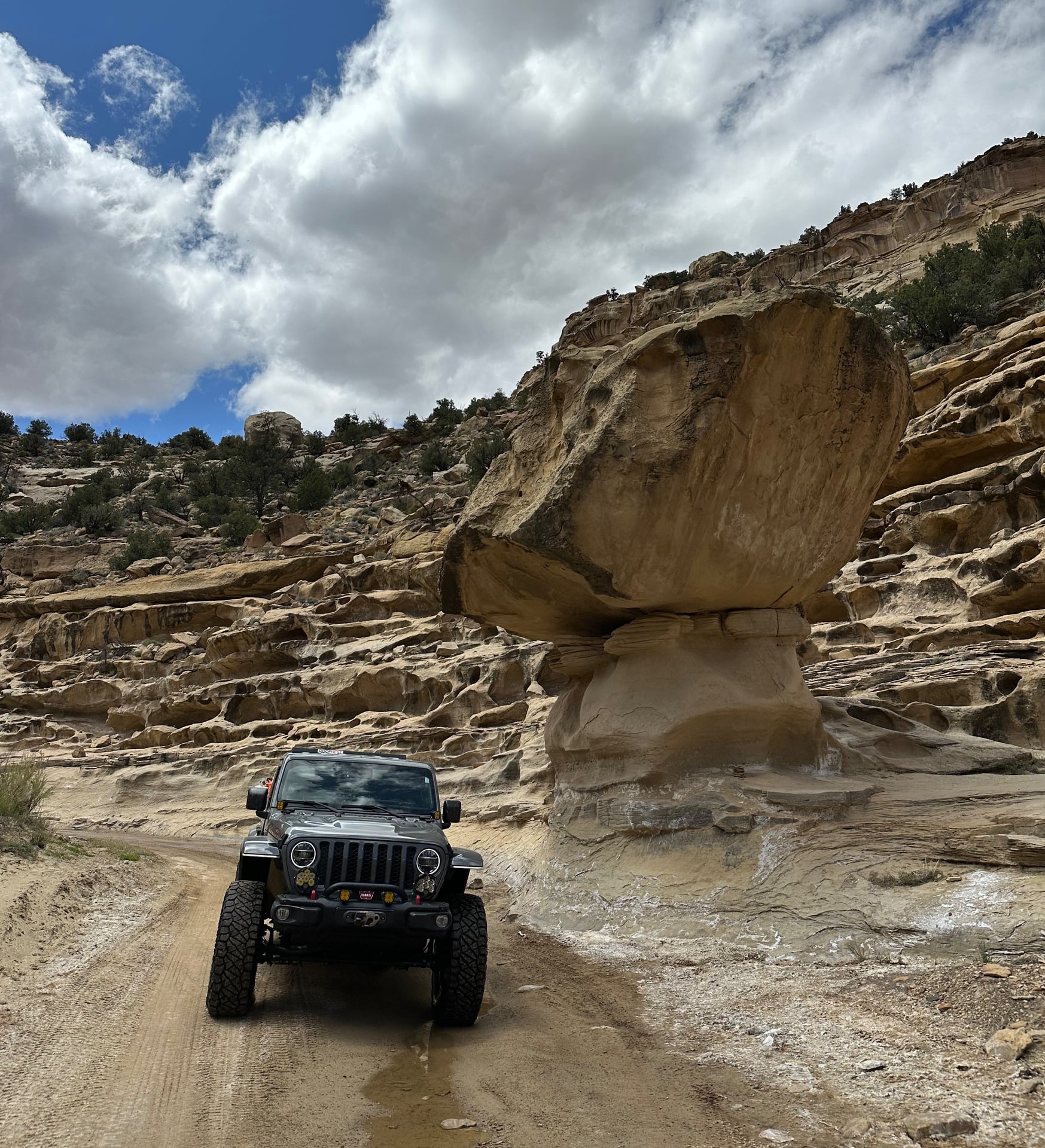 azxpedition photo 26