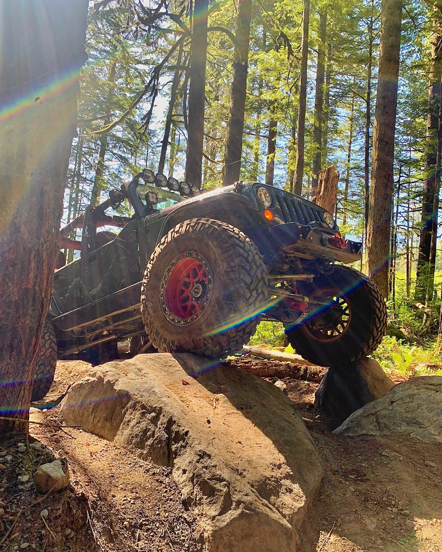 Switchback photo 27