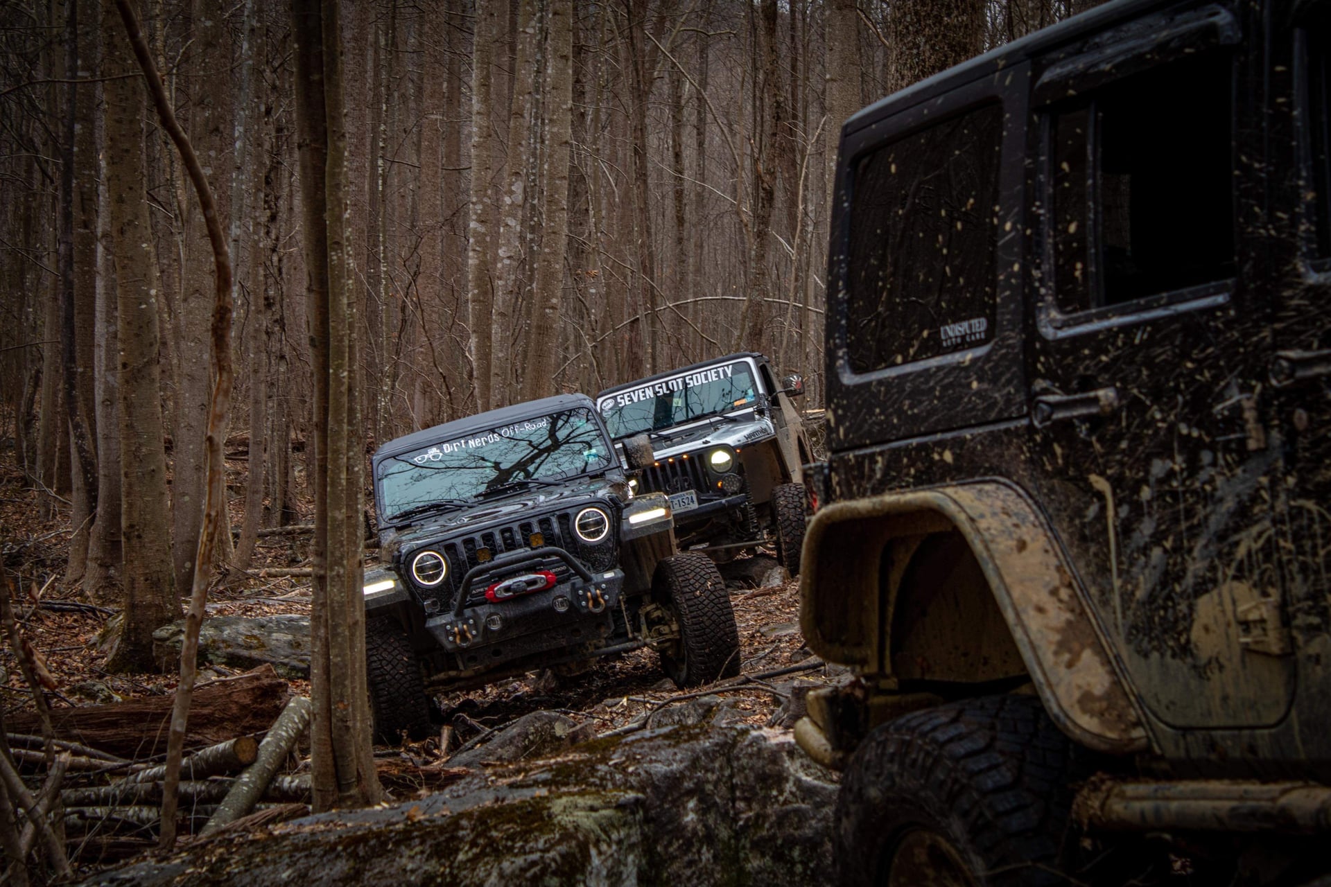 Wildchildjeep photo 10