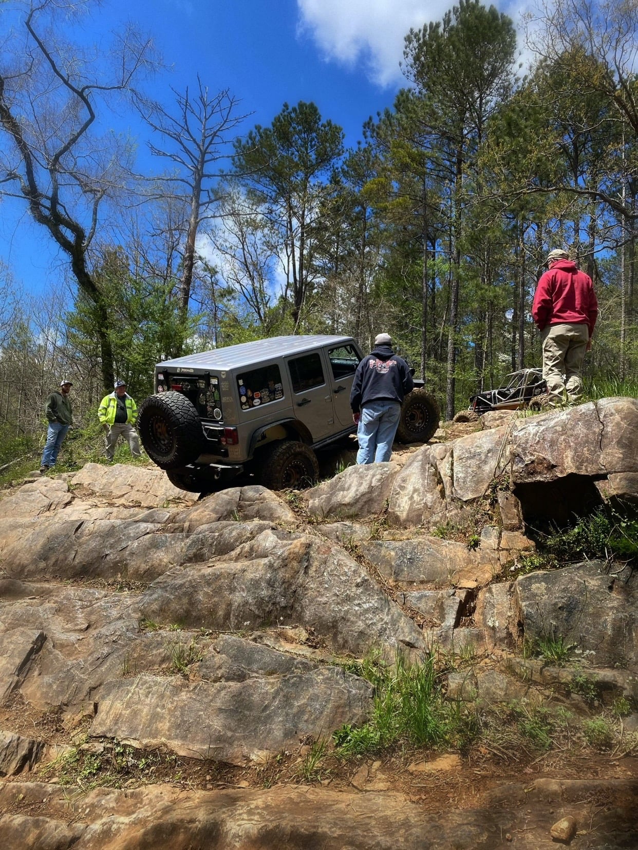 Silver Bear photo 20