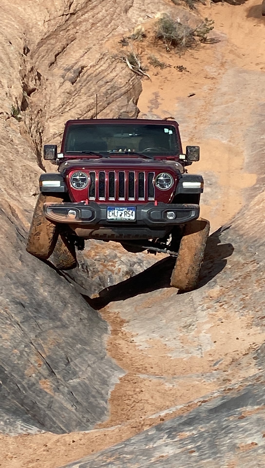 RockyMountainRubicon photo 2