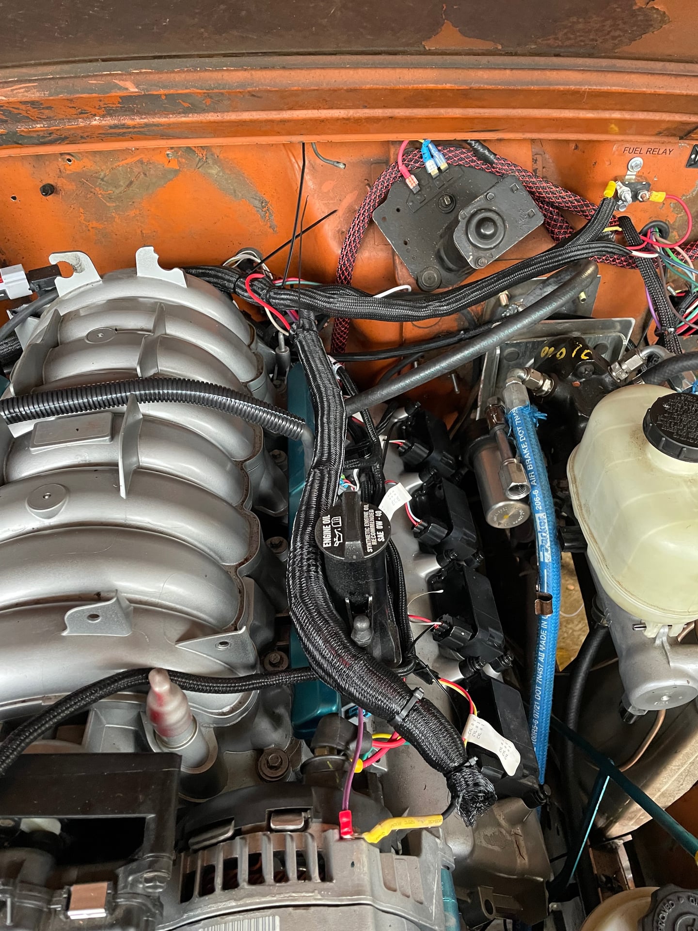 Woody Mammoth photo 2