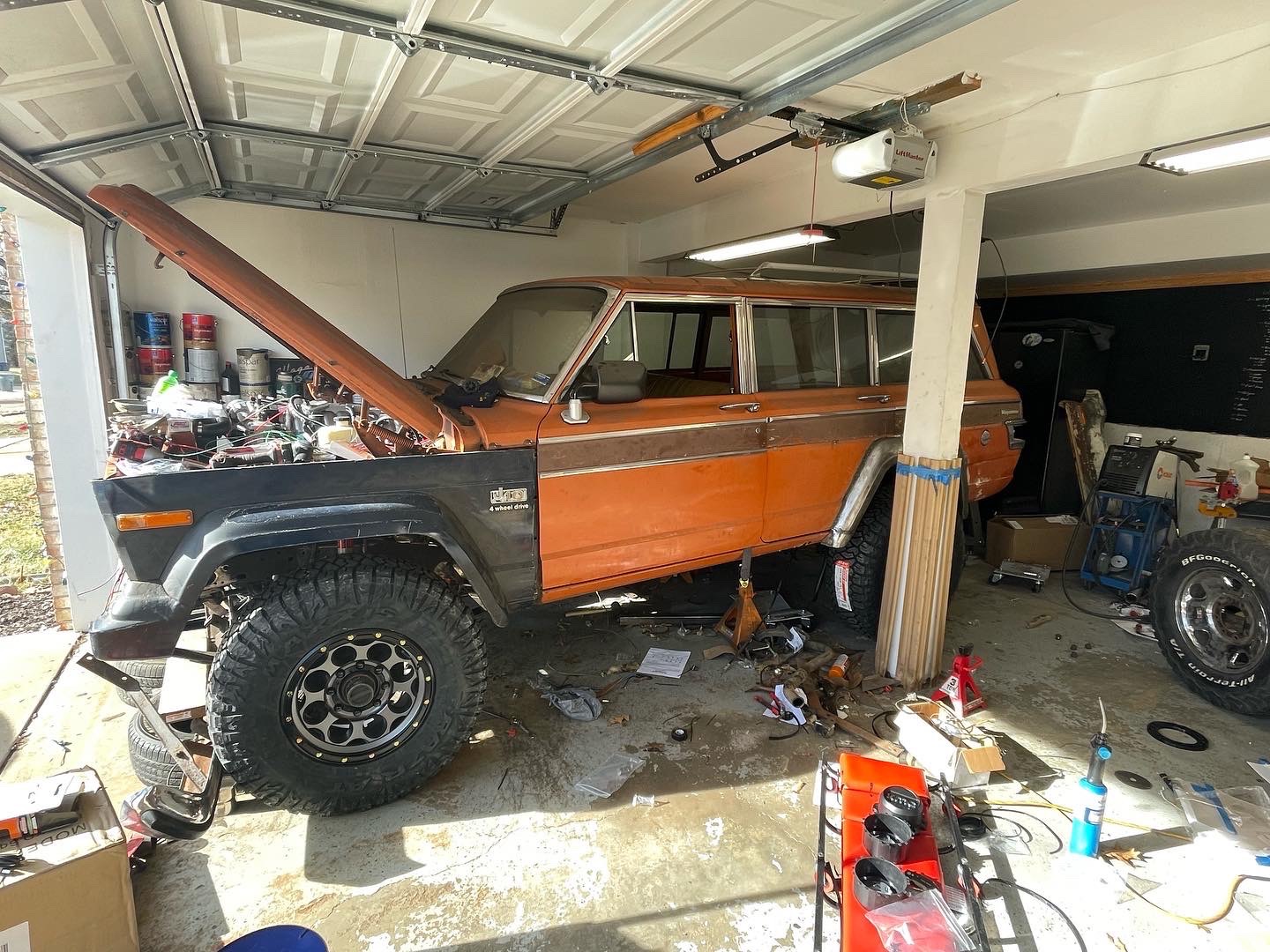 Woody Mammoth photo 9