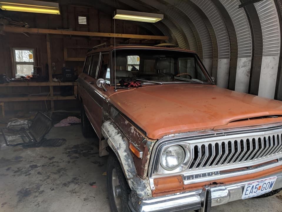 Woody Mammoth photo 10