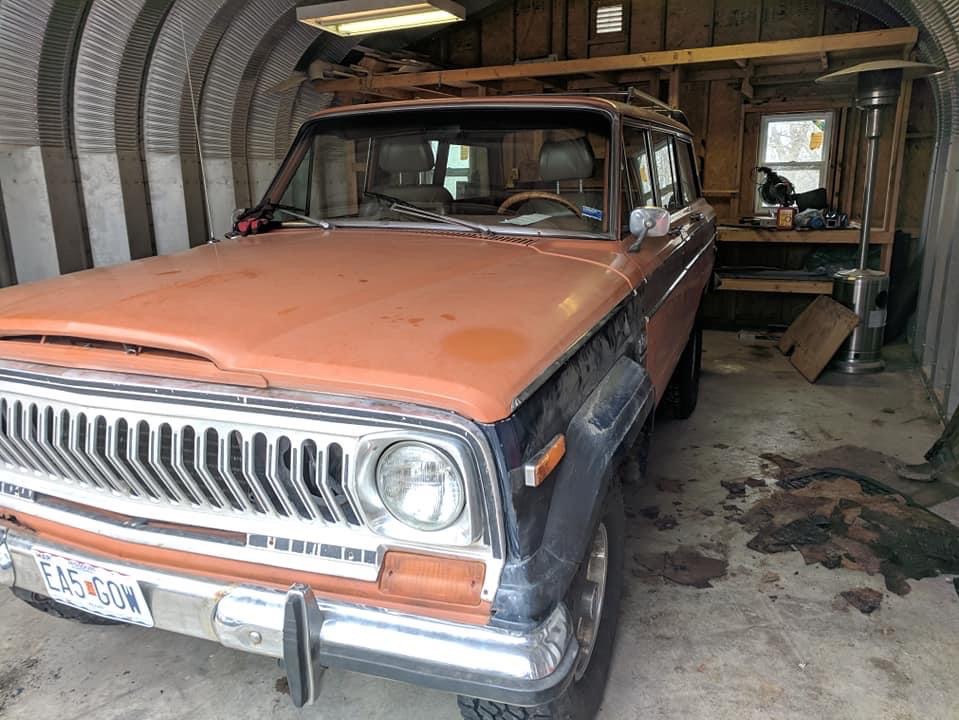 Woody Mammoth photo 11