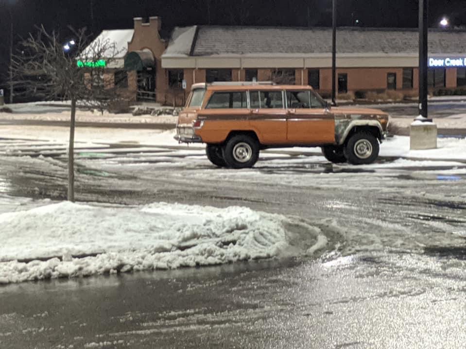 Woody Mammoth photo 12