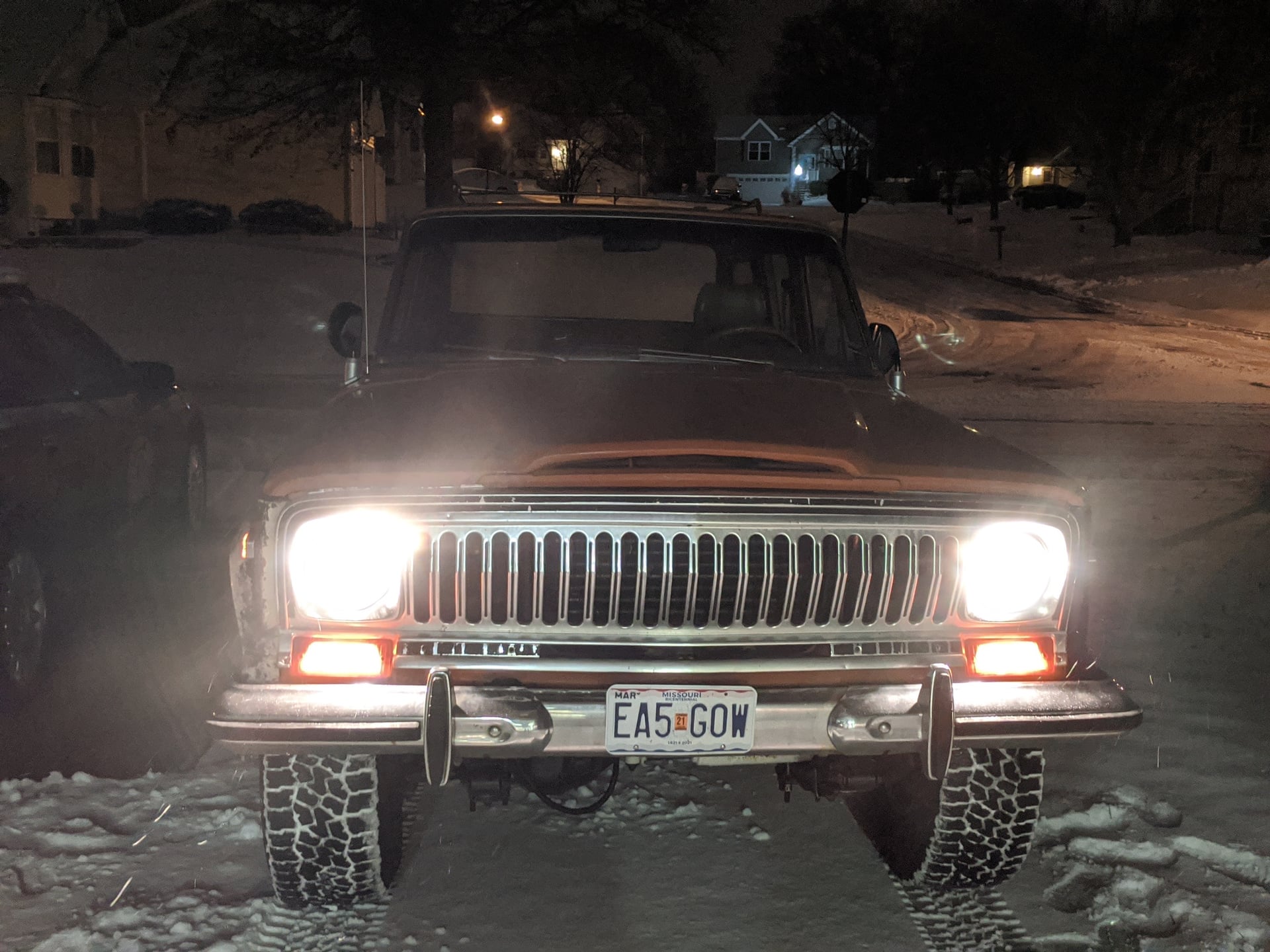 Woody Mammoth photo 13