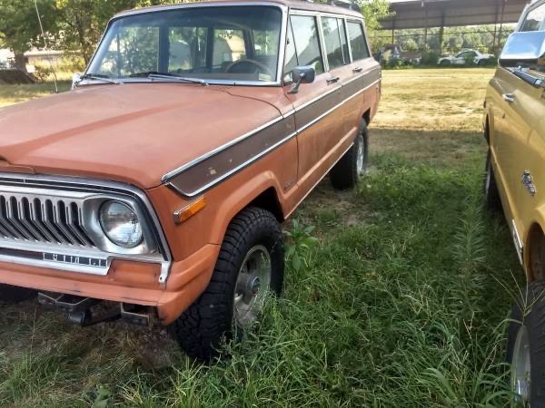 Woody Mammoth photo 15