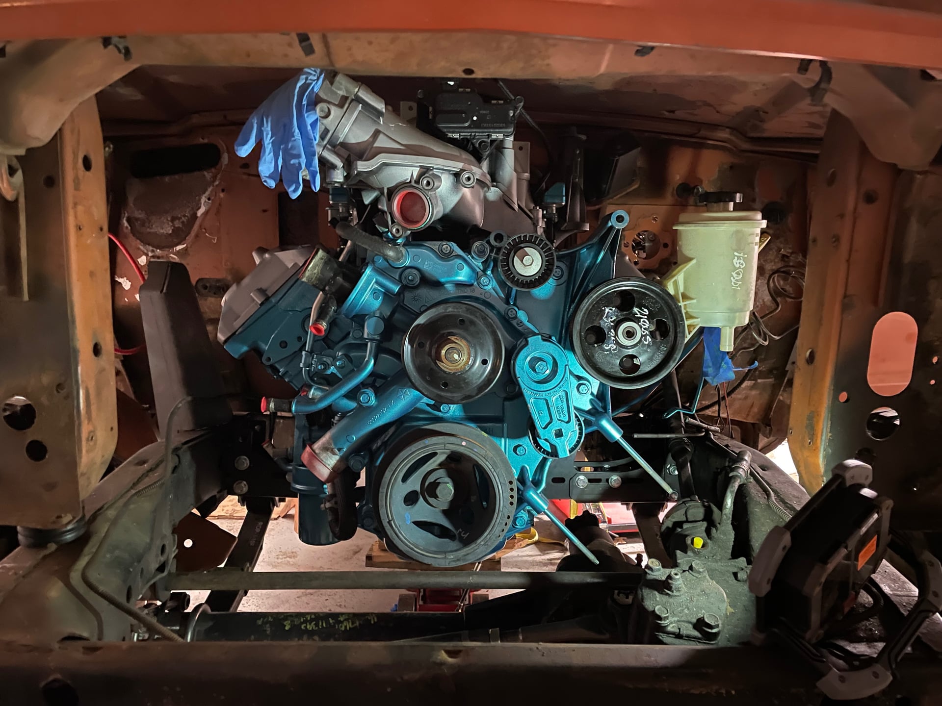 Woody Mammoth photo 17