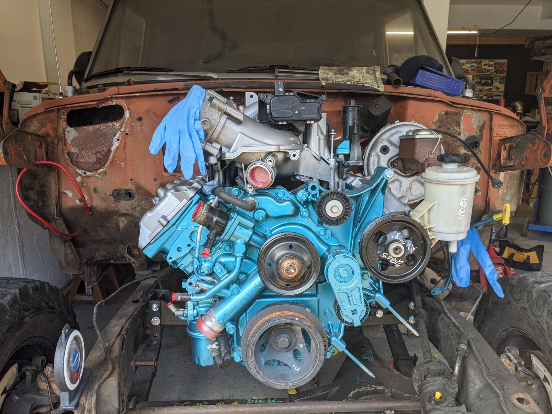 Woody Mammoth photo 20