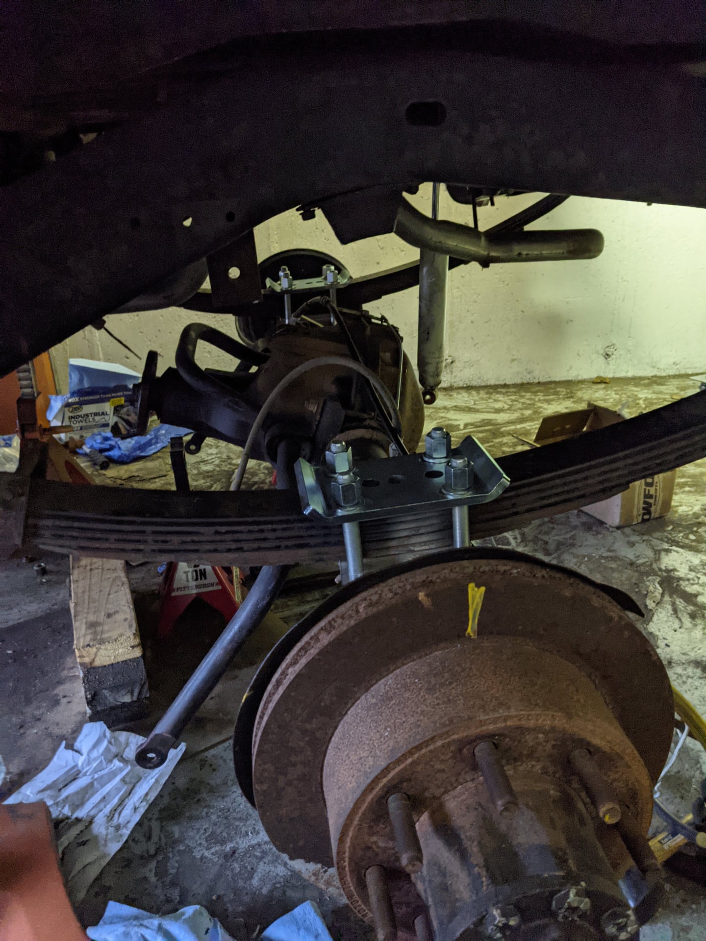 Woody Mammoth photo 22