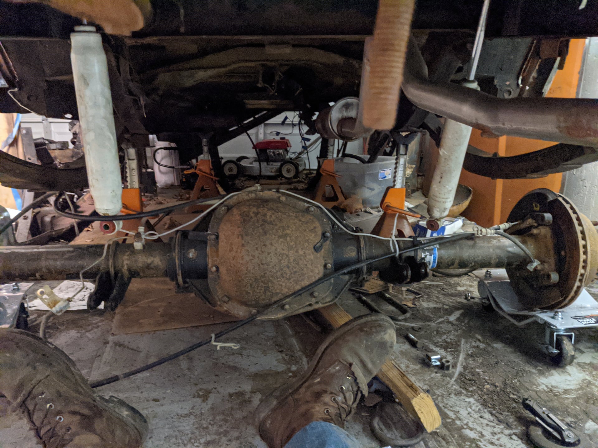 Woody Mammoth photo 23