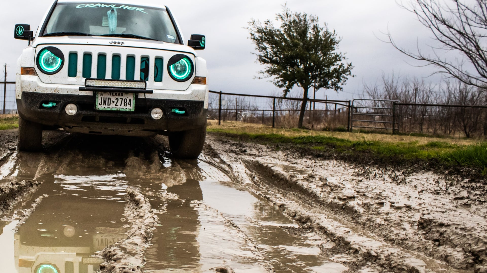 jeepmk_louise, a 2017 Jeep Patriot, photo 11 of 11