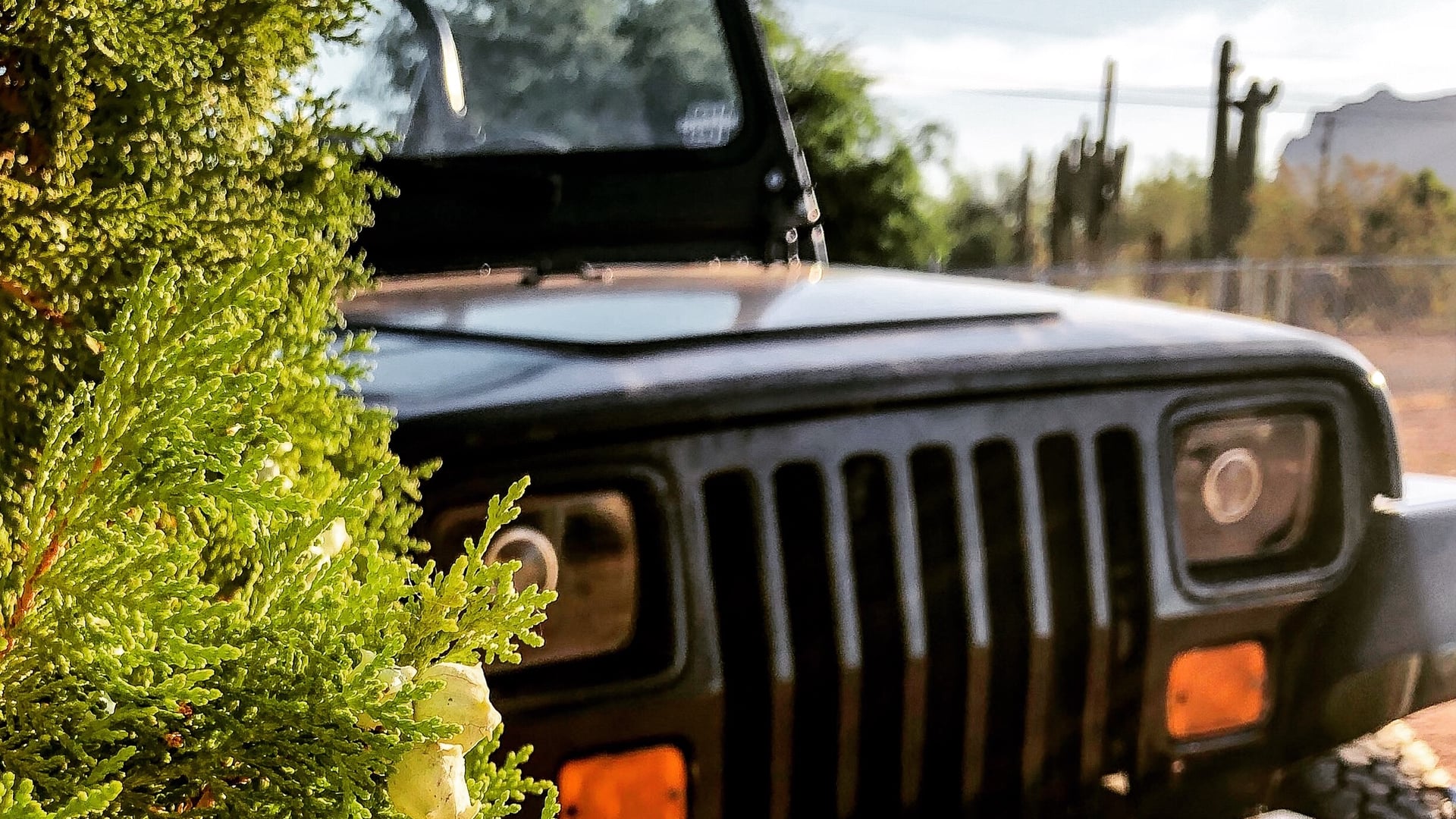 Shadow, a black 1988 Jeep Wrangler YJ with a 4.5-inch lift, photo 12 of 23